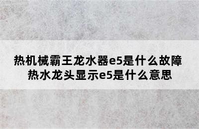 热机械霸王龙水器e5是什么故障 热水龙头显示e5是什么意思